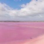 Adelaide Highlights: Wine, Whispering Wall & Pink Lake Tour - An In-Depth Look at the Adelaide Highlights Tour