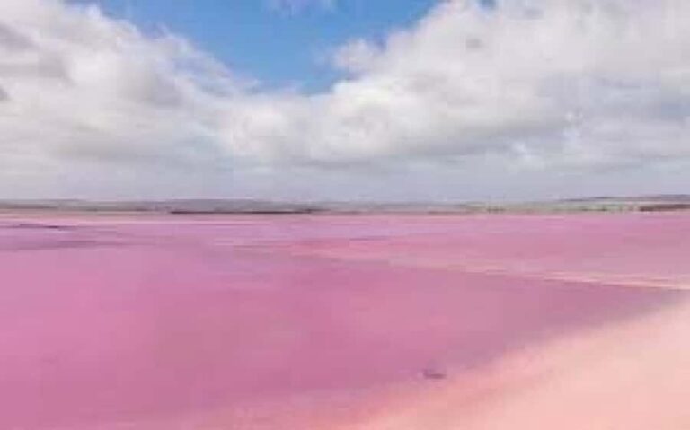 Adelaide Highlights: Wine, Whispering Wall & Pink Lake Tour - An In-Depth Look at the Adelaide Highlights Tour