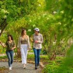 Adelaide Hills: Jurlique Farm Tour - The Itinerary: What Can You Expect?