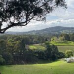 Adelaide Hills Nature Highlights Self-Guided e-Bike Tour - What Makes This Tour Special