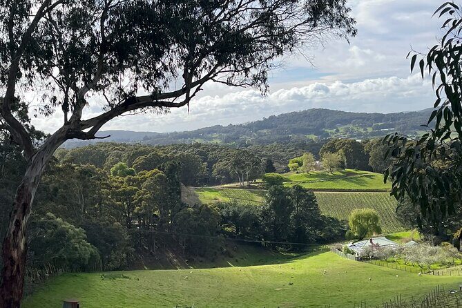 Adelaide Hills Nature Highlights Self-Guided e-Bike Tour - What Makes This Tour Special