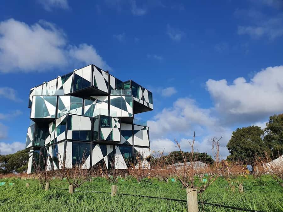 Adelaide: McLaren Vale Private WineTour+Your Chosen Tastings - Who Will Benefit Most?