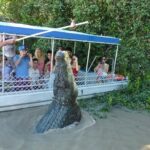 Adelaide River Cruises - Jumping Crocodile Experience - The Crocodiles and the Ecosystem