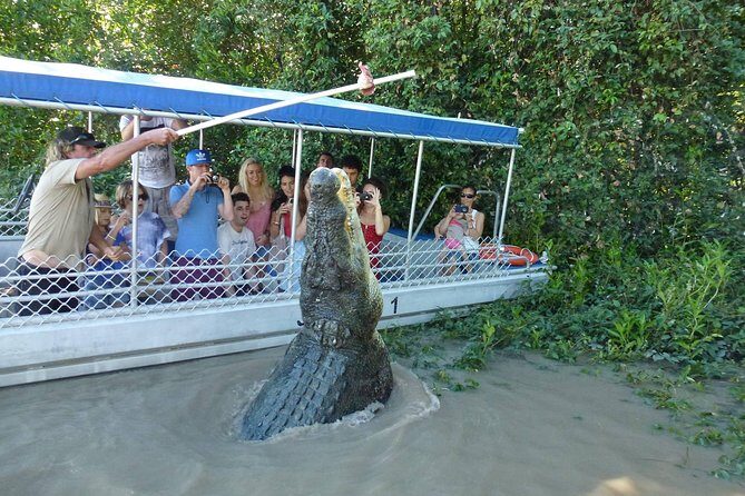 Adelaide River Cruises - Jumping Crocodile Experience - The Crocodiles and the Ecosystem