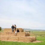 Adelaide: Small Group Tour of Barossa, Wineries with Lunch - The Value of the Tour