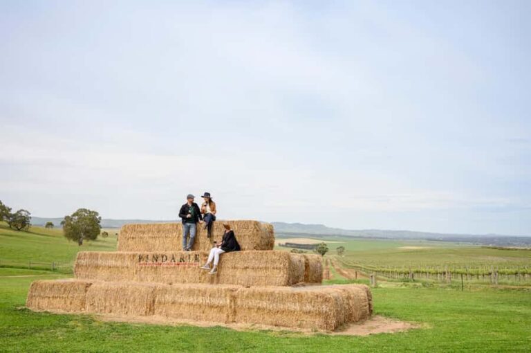 Adelaide: Small Group Tour of Barossa, Wineries with Lunch - The Value of the Tour