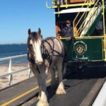 Adelaide: South Australia Guided Full-Day Highlights Tour - Visiting Mount Lofty Summit