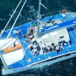 Adelaide Twilight Cruise from Glenelg - The Itinerary: A Simple but Satisfying Flow