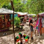 Adventure on a Budget Visit Kuranda or Palm Cove from Pt Douglas - Final Thoughts: Is This Tour Worth It?