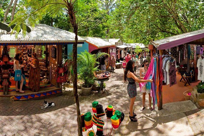 Adventure on a Budget Visit Kuranda or Palm Cove from Pt Douglas - Final Thoughts: Is This Tour Worth It?