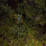 Adventurous Zipline Tour in Coromandel - The Sum Up