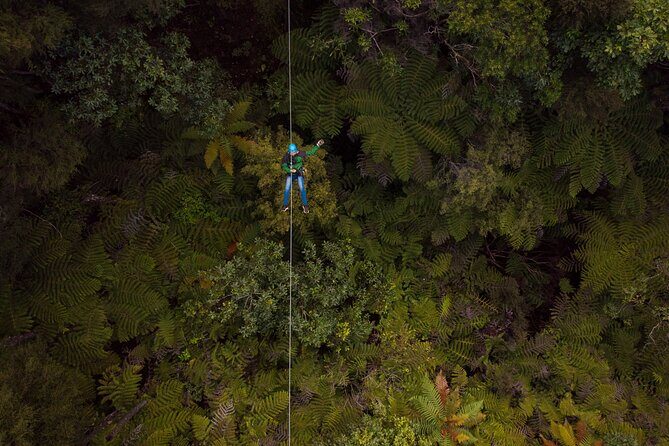 Adventurous Zipline Tour in Coromandel - The Sum Up