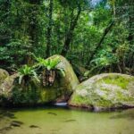 Affordable Return Mossman Gorge from Port Douglas Transfers - Final Thoughts