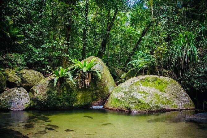 Affordable Return Mossman Gorge from Port Douglas Transfers - Final Thoughts