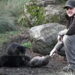 After Dark Tasmanian Devil Feeding Tour at Cradle Mountain - Why You’ll Love This Experience
