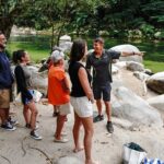 Afternoon Daintree Tour with River Cruise from Port Douglas - The Highlights: Why Travelers Keep Coming Back