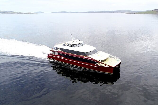 Afternoon Gordon River Dinner Cruise - Practical Details to Consider