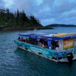 Airlie Beach Glass Bottom Boat Guided Night Tour - What to Expect on the Tour