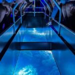 Airlie Beach: Glass-Bottom Boat Night Tour - The Practicalities: What to Know Before You Go