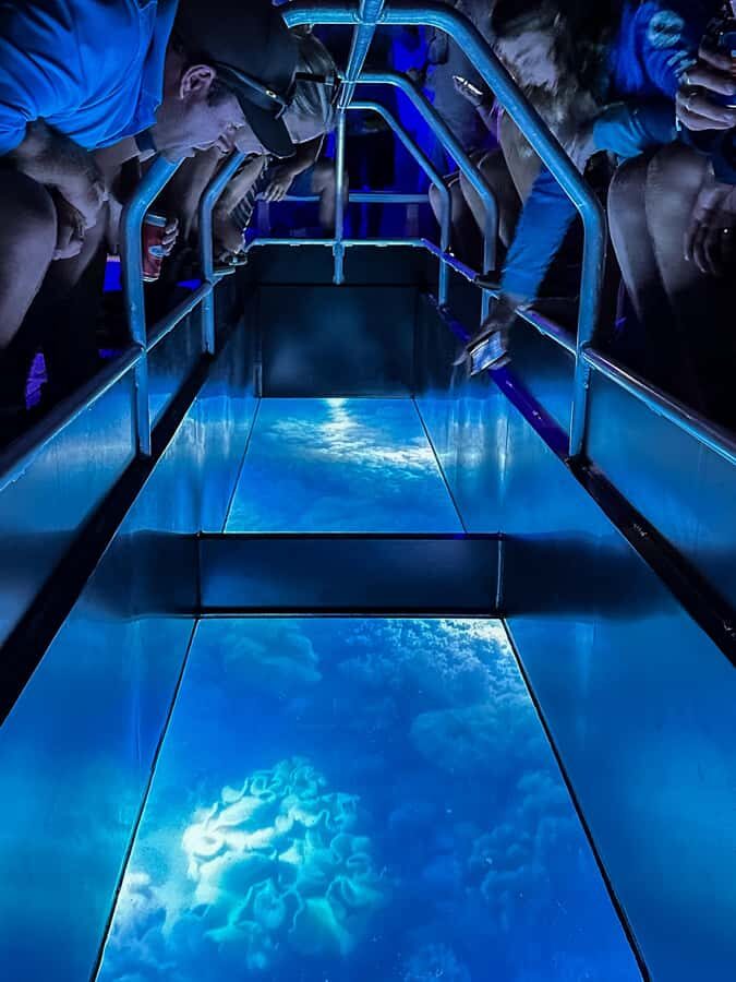 Airlie Beach: Glass-Bottom Boat Night Tour - The Practicalities: What to Know Before You Go