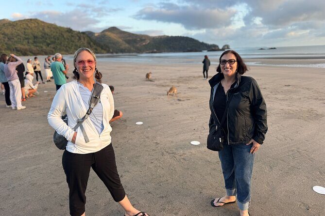 Airlie Beach: Kangaroos on the beach at dawn. - Authenticity and Reviews: What Travelers Are Saying