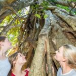 Airlie Beach: Segway Rainforest Discovery Tour - The Learning Curve and Safety Briefing