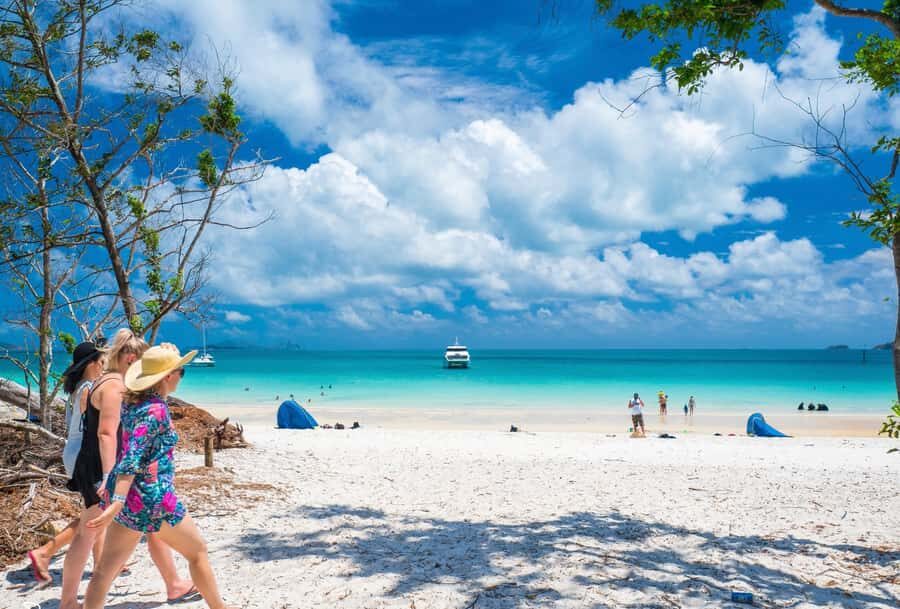 Airlie Beach: Whitehaven Beach Cruise and Hill Inlet - Authentic Insights from Travelers