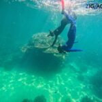 Airlie Beach: Whitehaven Beach Day Tour with Snorkel Option - What Sets This Tour Apart