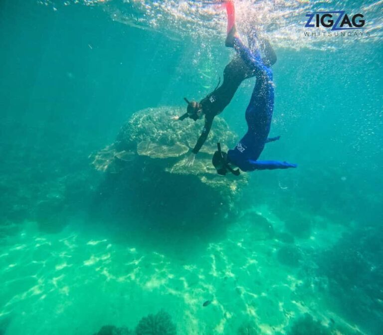 Airlie Beach: Whitehaven Beach Day Tour with Snorkel Option - What Sets This Tour Apart