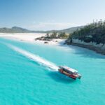 Airlie Beach: Whitehaven Full-Day Eco-Cruise with Buffet - What Makes This Tour Stand Out?