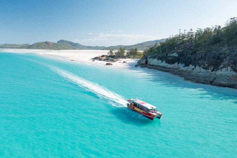 Airlie Beach: Whitehaven Full-Day Eco-Cruise with Buffet - What Makes This Tour Stand Out?