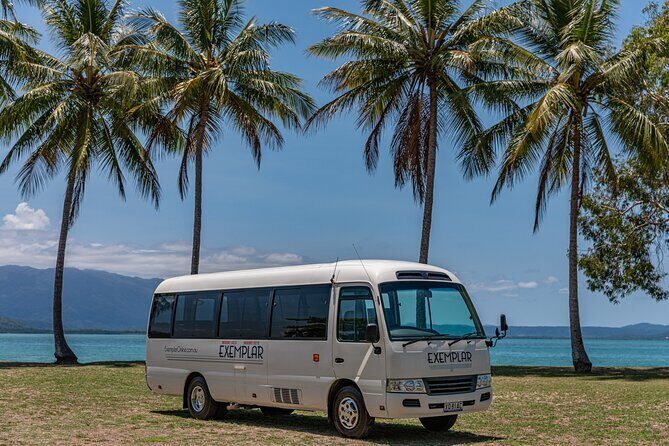 Airport Transfers between Cairns Airport and Palm Cove - What to Expect on the Journey