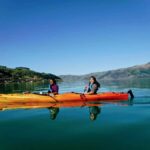 Akaroa: Akaroa Marine Reserve Sea Kayaking Tour - What Makes the Itinerary Special?