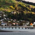 Akaroa Day Tour From Christchurch - Practical Insights & Considerations