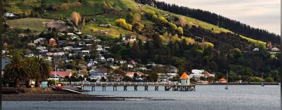 Akaroa Day Tour From Christchurch - Practical Insights & Considerations