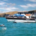 Akaroa Day Tour From Christchurch & Lyttelton - Who Will Love This Tour?