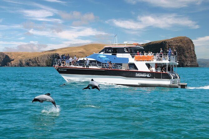 Akaroa Day Tour From Christchurch & Lyttelton - Who Will Love This Tour?