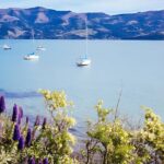 Akaroa Day Tour from Christchurch Return - What Makes This Tour Stand Out