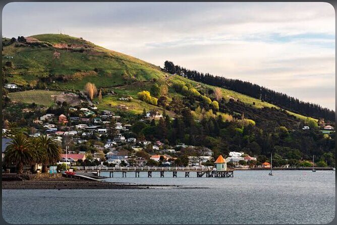 Akaroa Day Tour From Christchurch - Who Should Book?