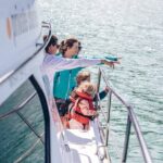 Akaroa Dolphins ~ Harbour Nature Cruise - Wildlife Viewing: Expect the Unexpected