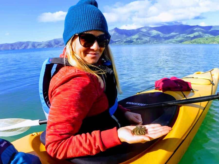 Akaroa: Guided Sunrise Sea Kayaking Tour - Summary: Who Is This Tour Best For?