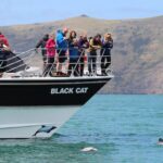 Akaroa Harbour Nature Cruise - The Experience’s Value