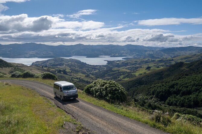 Akaroa Nature and History Private Tour - The 7th Generation - Practical Details and Why They Matter