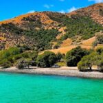 Akaroa Private Day Trip From Christchurch - Detailed Breakdown of the Itinerary