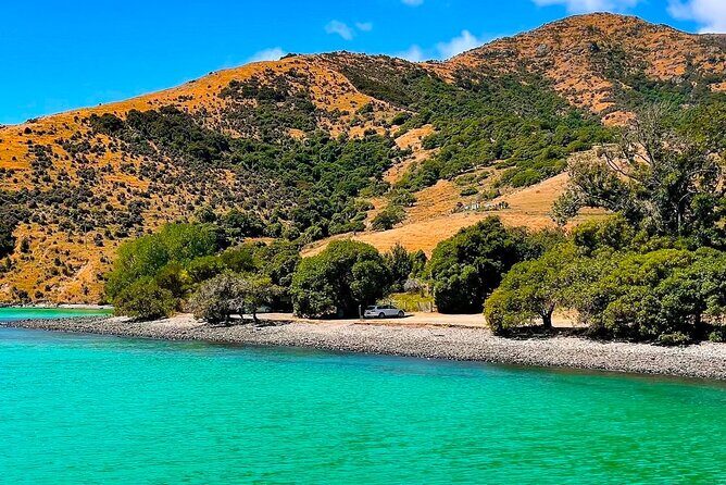 Akaroa Private Day Trip From Christchurch - Detailed Breakdown of the Itinerary