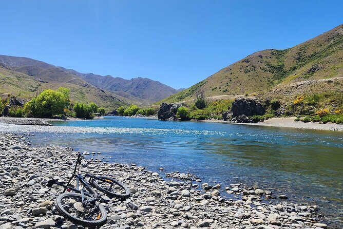 Akaroa Private Group Day Trip from Christchurch - What Makes This Tour Stand Out