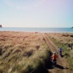 Akaroa Self Guided Electric Scooter Tour - What Reviewers Say: Authentic Perspectives