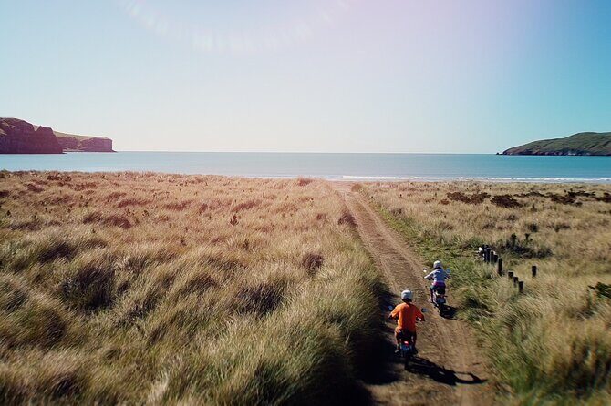 Akaroa Self Guided Electric Scooter Tour - What Reviewers Say: Authentic Perspectives