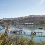 Akaroa Shore Excursion: Banks Peninsula and Christchurch City Sights Tour - In-Depth Breakdown of the Itinerary