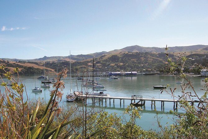 Akaroa Shore Excursion: Banks Peninsula and Christchurch City Sights Tour - In-Depth Breakdown of the Itinerary